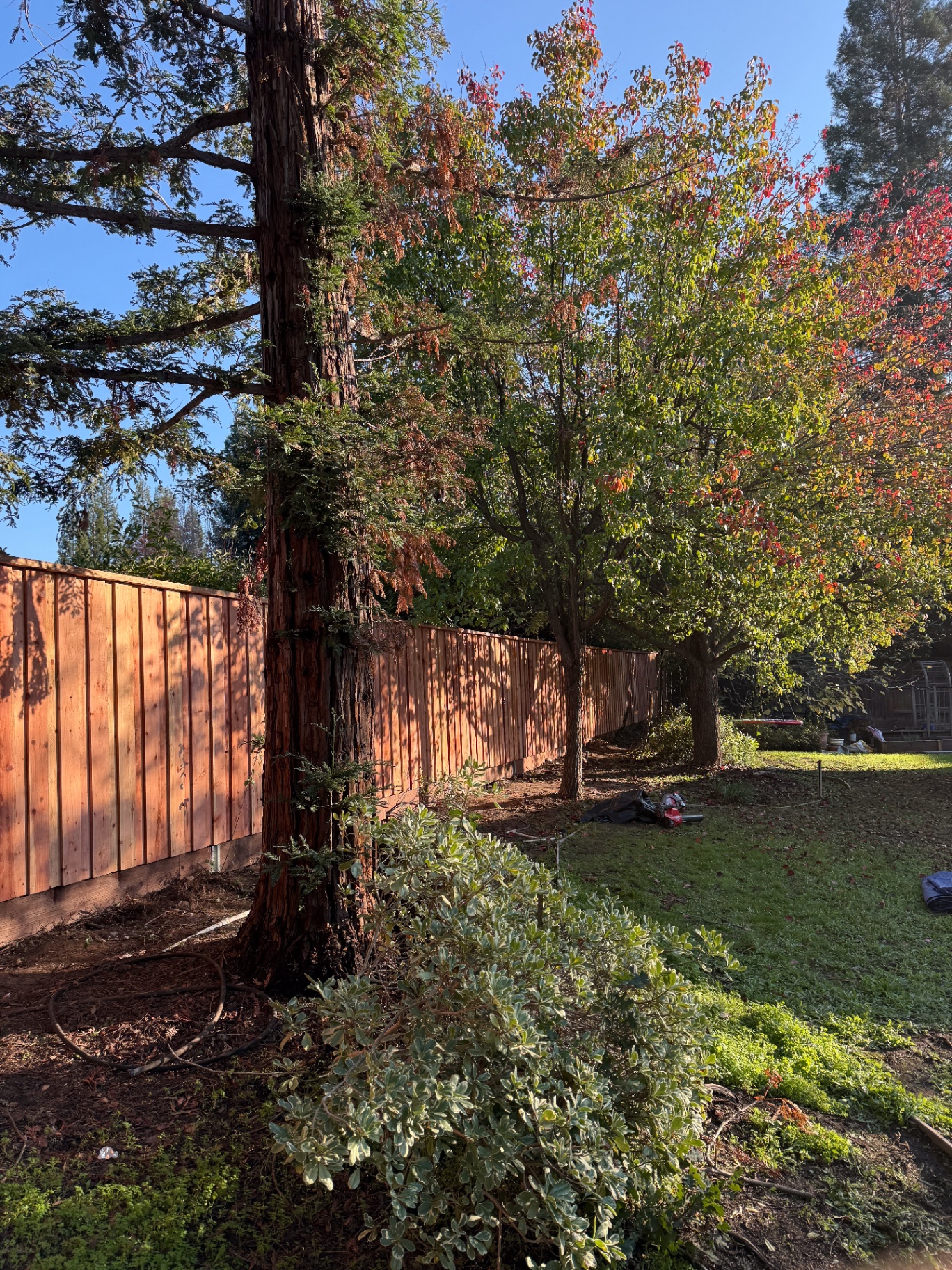 Good Wood Fence project