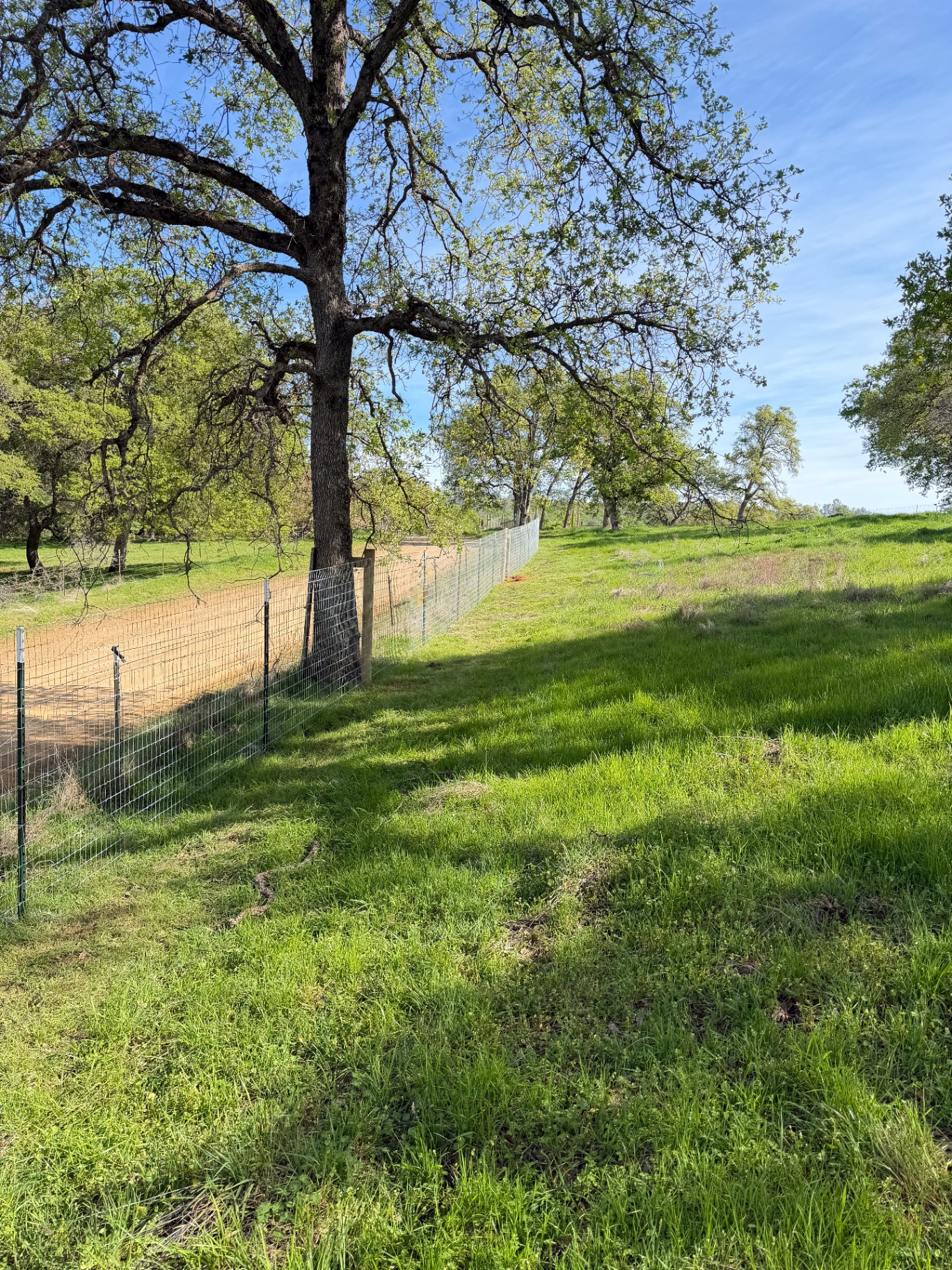 Good Wood Fence project